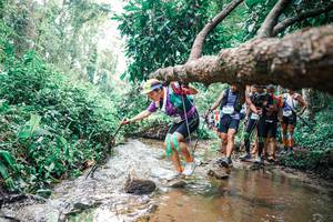 BIB: 
                            <button type="button" onclick="openModal(25373597)" class="btn btn-primary btn-sm float-right btn-popup" data-toggle="modal" data-target=".modal-high-quality">
                        <i class="fas fa-shopping-cart"></i> Add to Cart
                    </button>
                                            <button type="button" onclick="isThisMe(25373597, true)" class="btn btn-success btn-sm float-right btn-popup btn-isme hidden" data-toggle="tooltip" data-placement="bottom" title="นี่คือรูปของคุณใช่ไหม คลิกที่นี่เพื่อเอาเข้าอัลบั้ม">
                        <i class="fas fa-plus"></i> Add to album
                    </button>
                    <button type="button" onclick="isThisMe(25373597, false)" class="btn btn-warning btn-sm float-right btn-popup btn-isnotme hidden">
                        <i class="fas fa-ban"></i> Remove from album
                    </button>